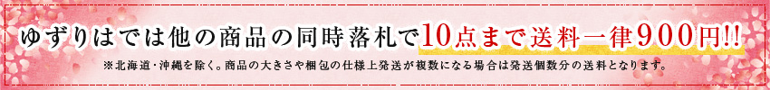 同時落札の場合、10点まで同梱の場合送料一律900円（北海道・沖縄除く）でご提供しております。